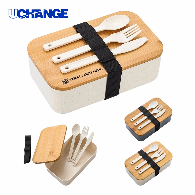 Divided Bento Lunch Box Set