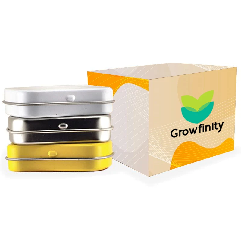 Custom Mini Tin Box 1