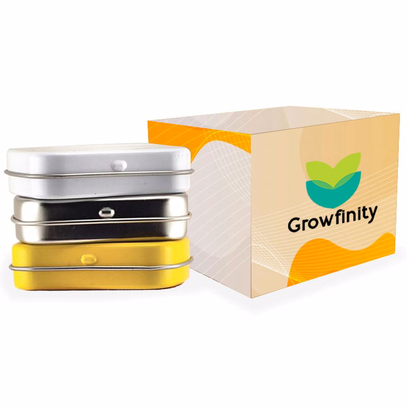 Custom Mini Tin Box