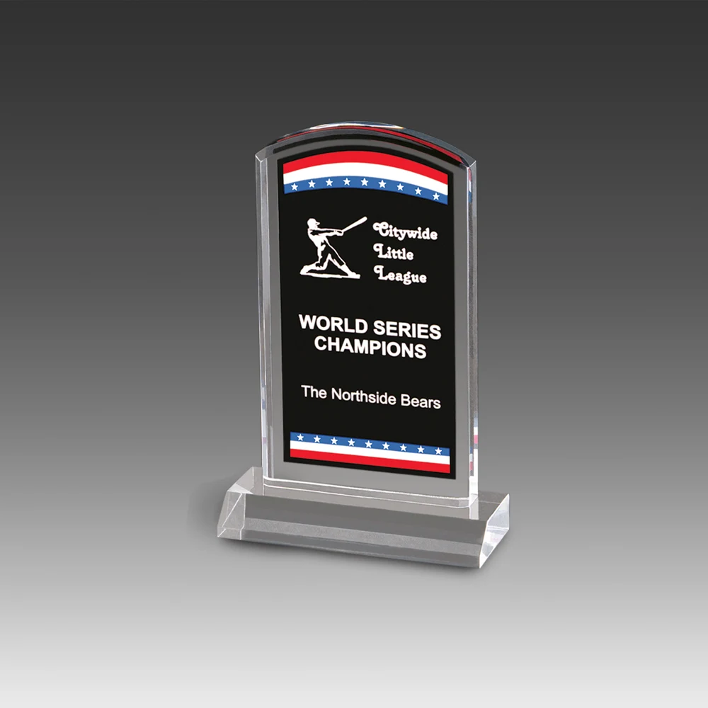 Freedom Corporate Stars Stripes Award (5"x7") 1