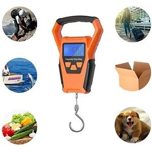 Fishing Scale 1