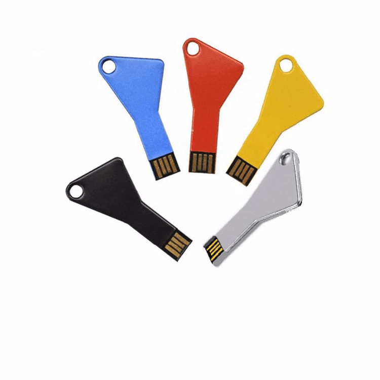 Key Shape USB Flash Drive