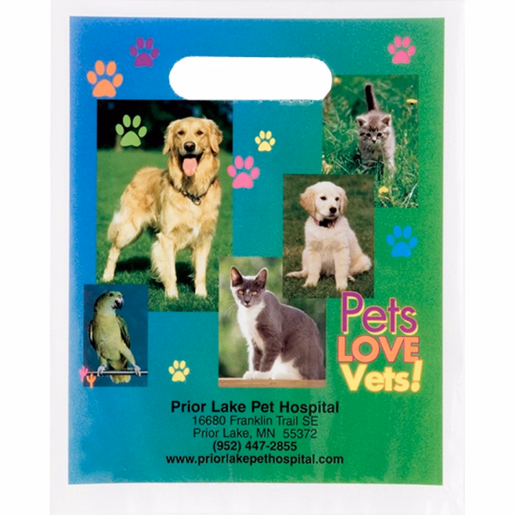 Non Reinforced Full Color Die Cut Bag