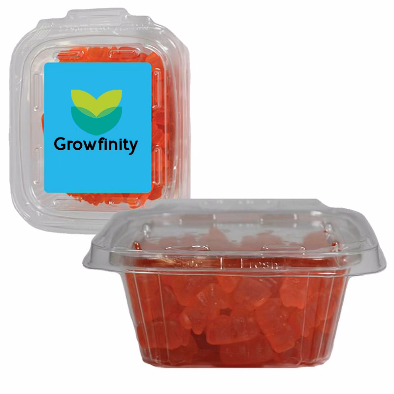 Safe-T-Fresh Square Container - With Fillings Available