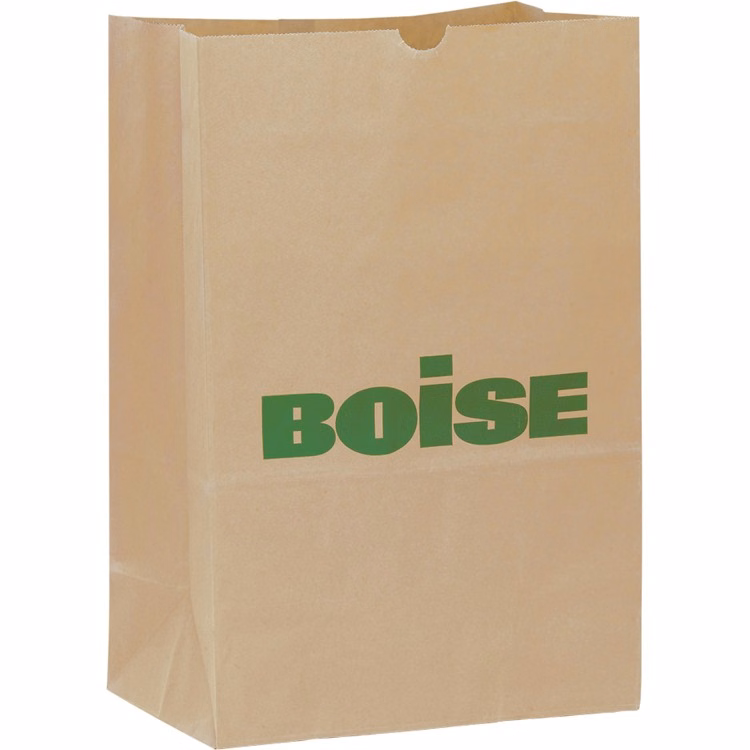 Grocery Bag - Natural Kraft LIGHTWEIGHT 1/6 bbl SOS