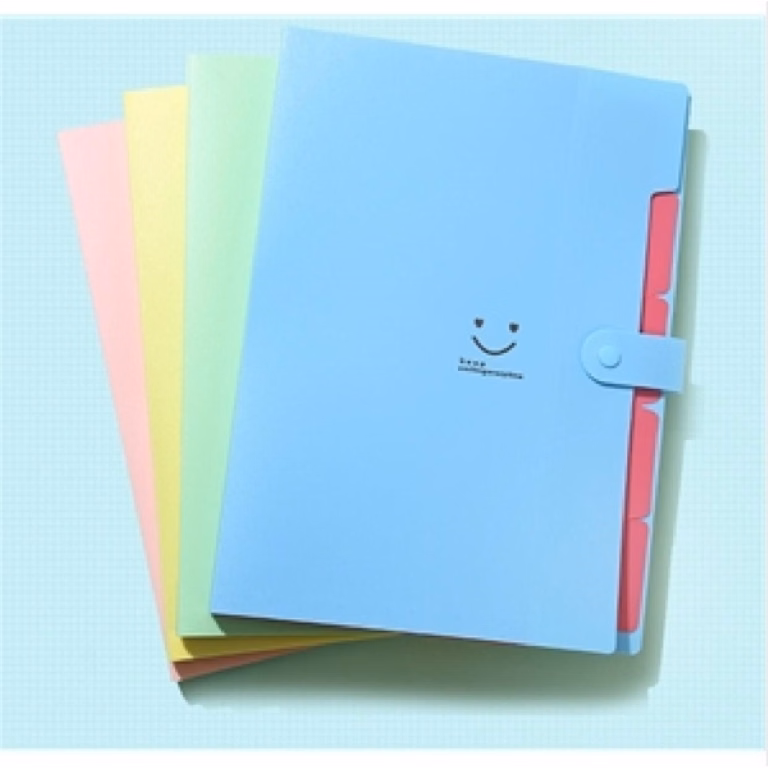 5-Pocket Colorful Drawer File folder