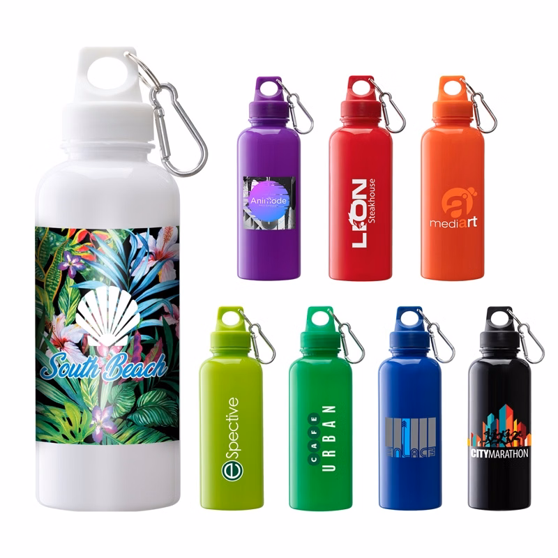 Brio 20 oz. PS Water Bottle w/ Carabiner
