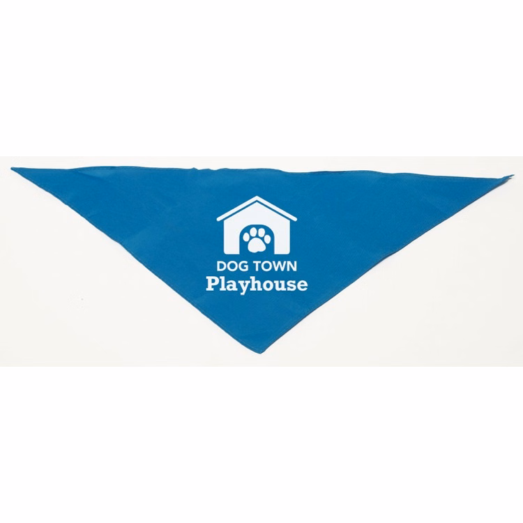 Personalized Small Turquoise/Teal Triangle Pet Bandana