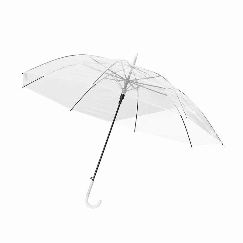 Transparent Umbrella