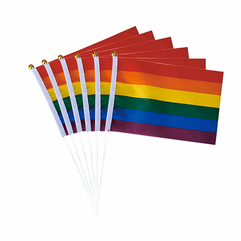 Gay Pride Rianbow Flag
