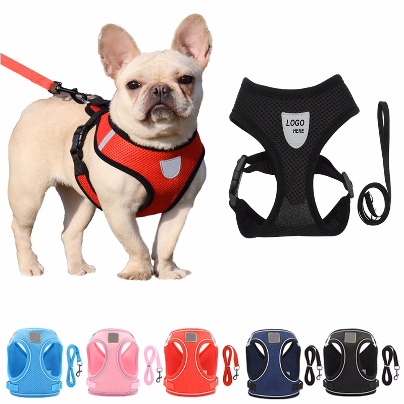 Pet Harness Lead