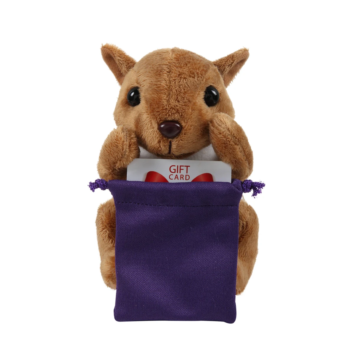 Soft Plush Sitting Squirrel with Gift Card Sack 1