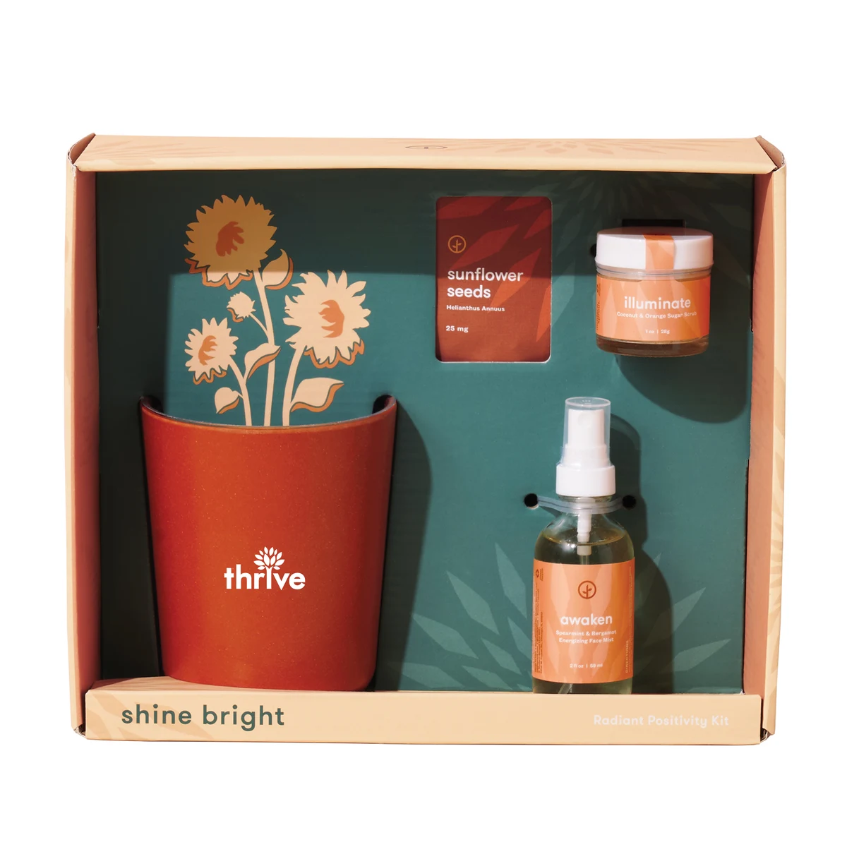 Modern Sprout® Shine Bright Take Care Kit - Sunflower 1