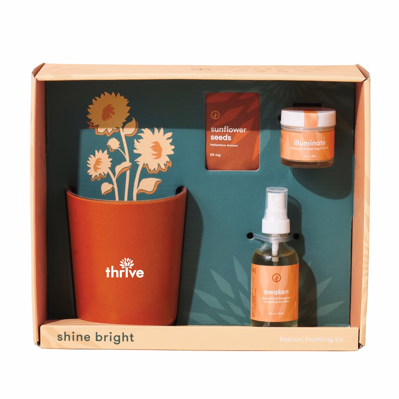 Modern Sprout® Shine Bright Take Care Kit - Sunflower