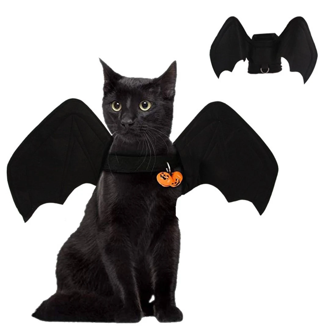 Bat Pet Decoration 1