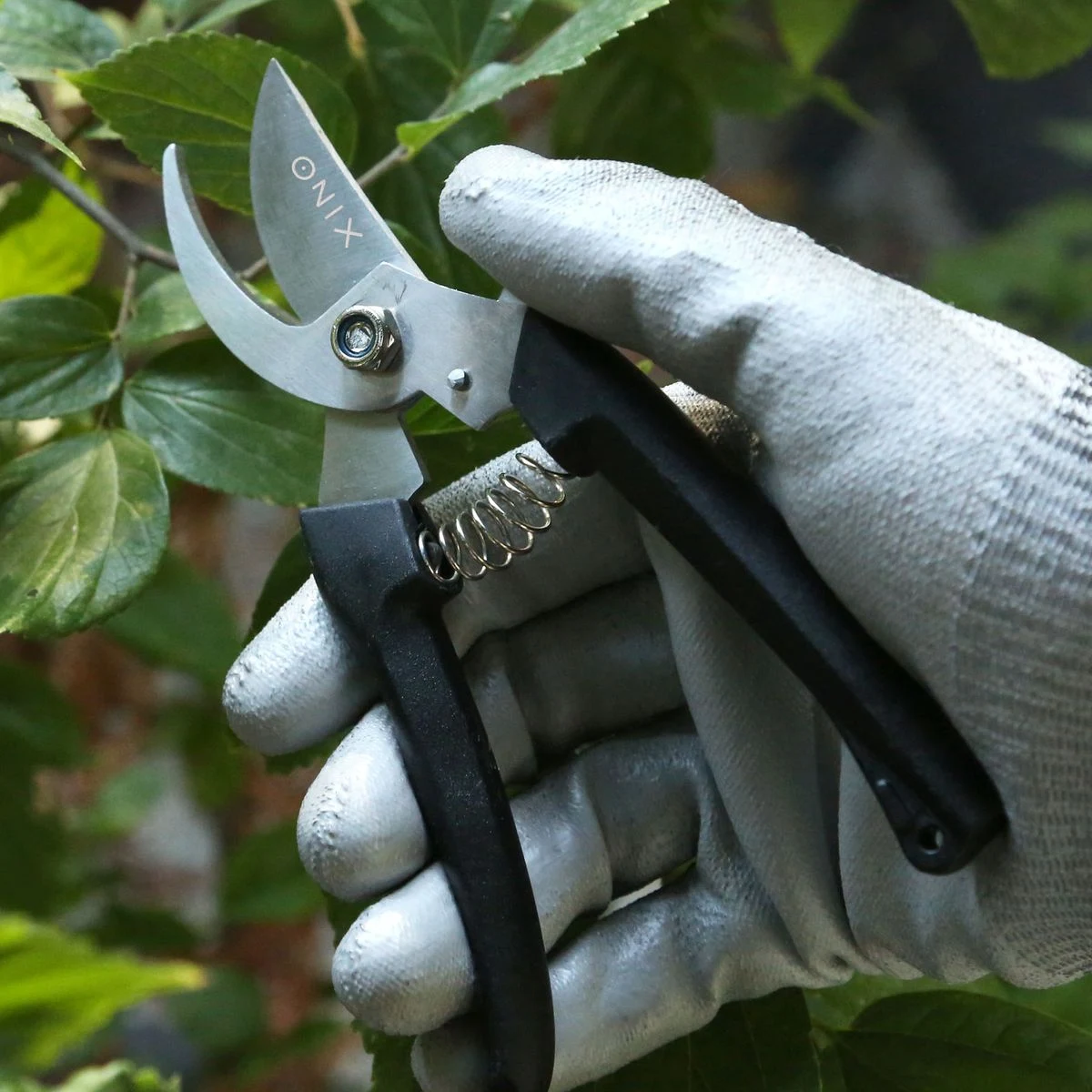 Evergreen Garden Pruner 1