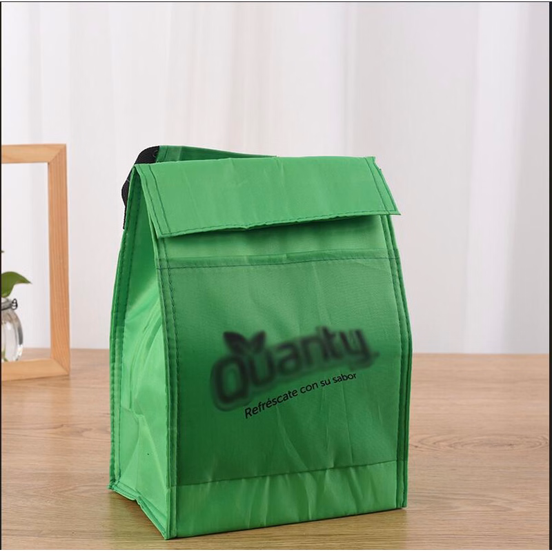 Hand-held Portable Waterproof Insulated Bag