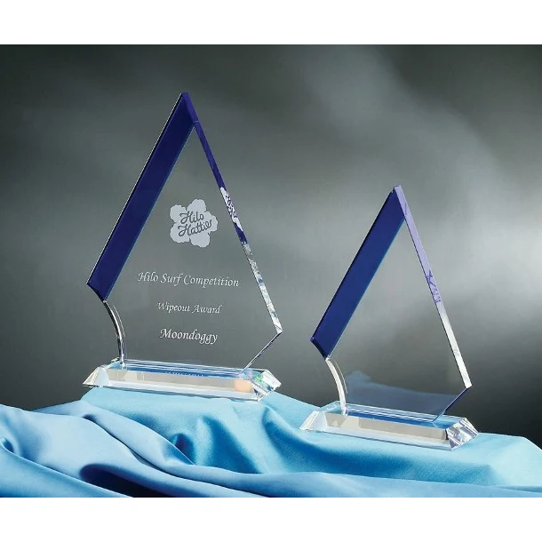 Contemporary Vistas Crystal Marmont Award 1