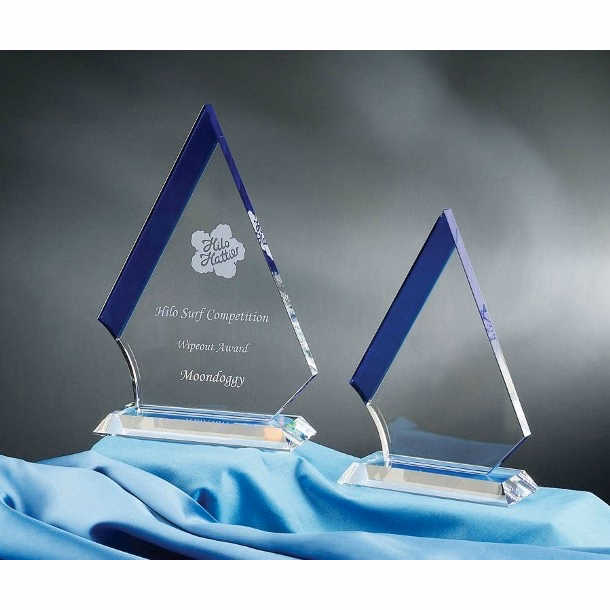 Contemporary Vistas Crystal Marmont Award
