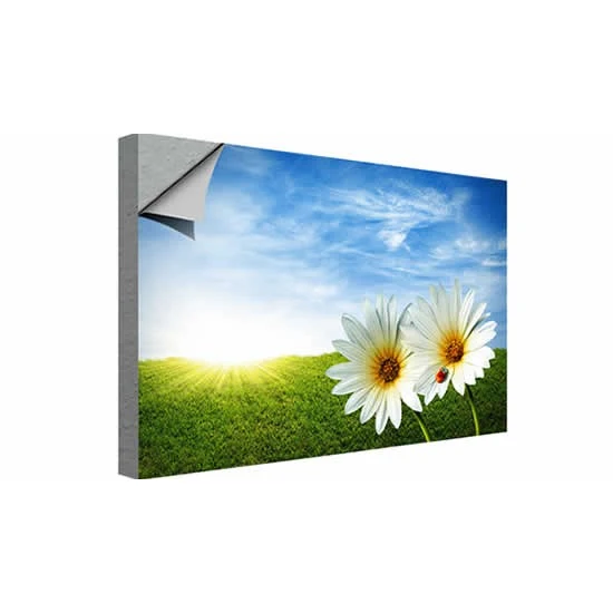 Wall Mural, Adhesive Vinyl, Custom Shape - 72"W x 48"H 1