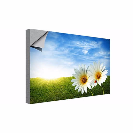 Wall Mural, Adhesive Vinyl - 60"W x 36"H