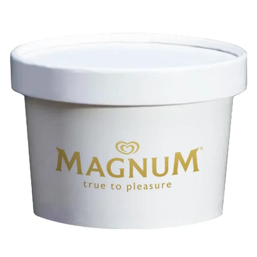 Ice Cream Container 1