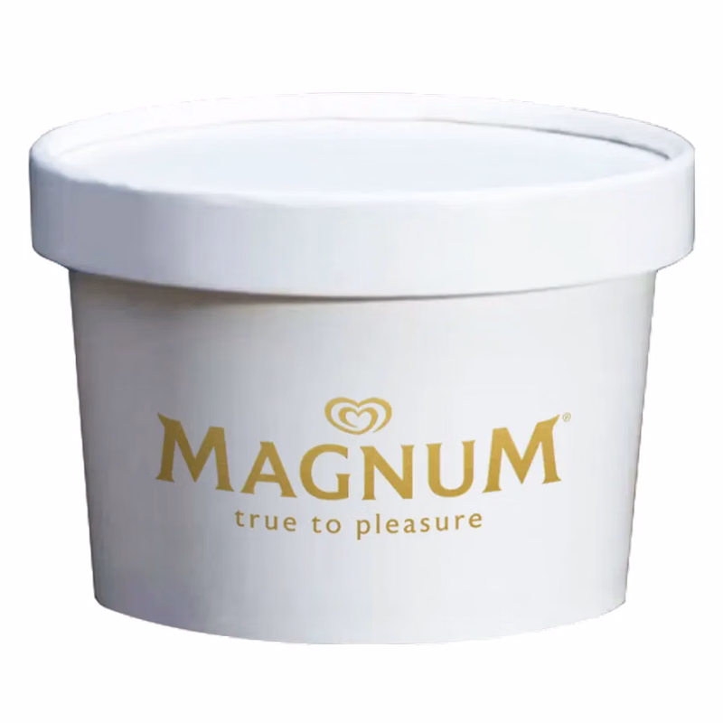 Ice Cream Container