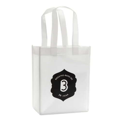 Non Woven Basic Gift Bag 1