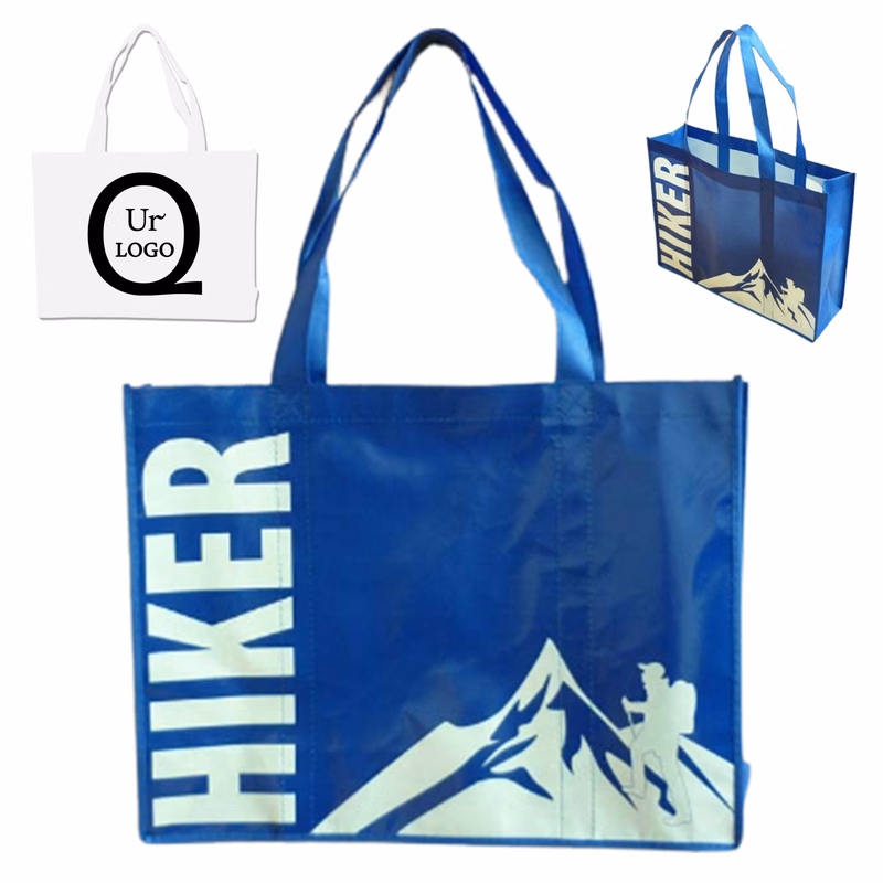 11.75 X 13.75 X 3.93 Inch Non Woven Carry Bag