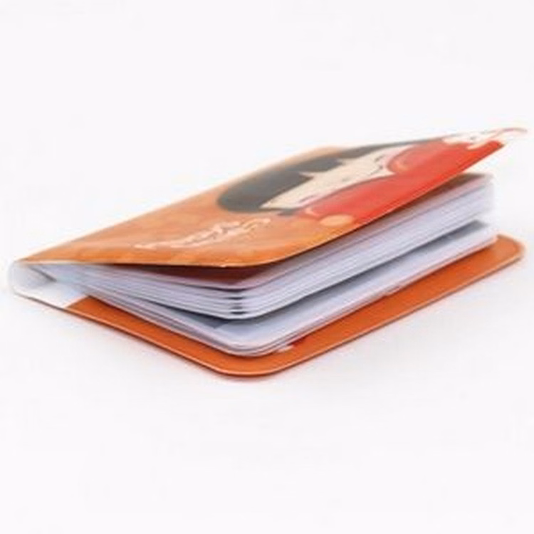 Bank/ Credit Card Case