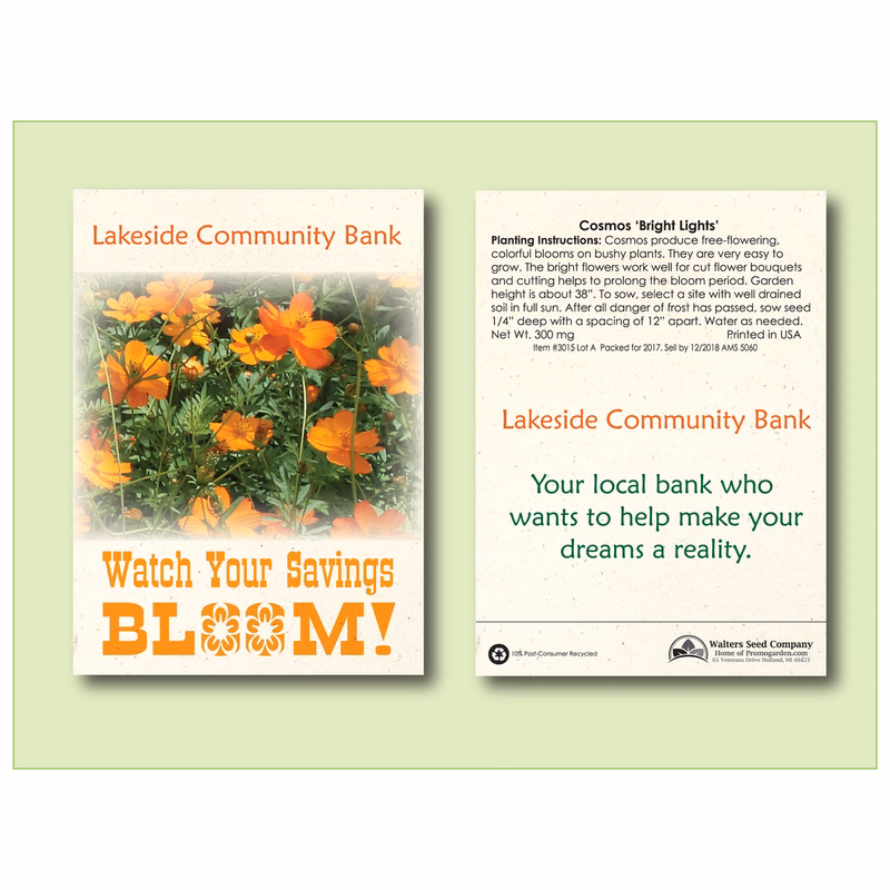 Cosmos Bright Lights Flower Seed Packet - Size 3.25" x 4.5"