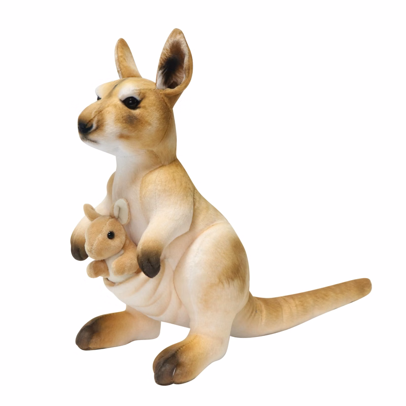 Kangaroo