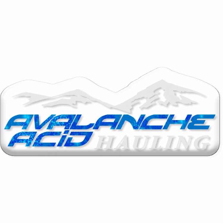 3 Sq. Inch Custom 4 Colour Process Clear Polyester Domed Decal