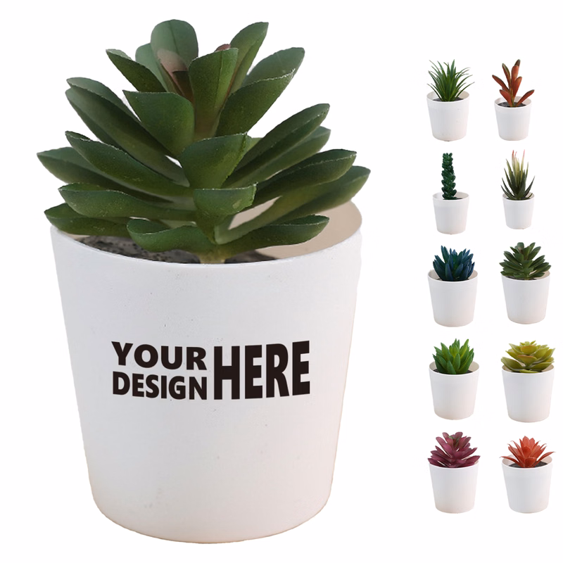 Simulation Succulent Barrel Plant Set for Desk