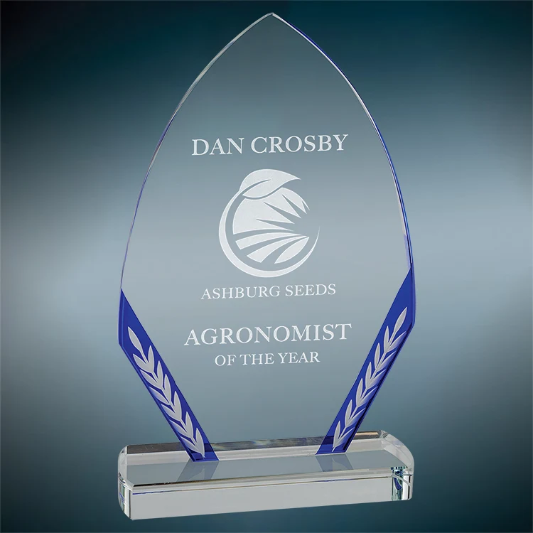Montage Blue Award 1