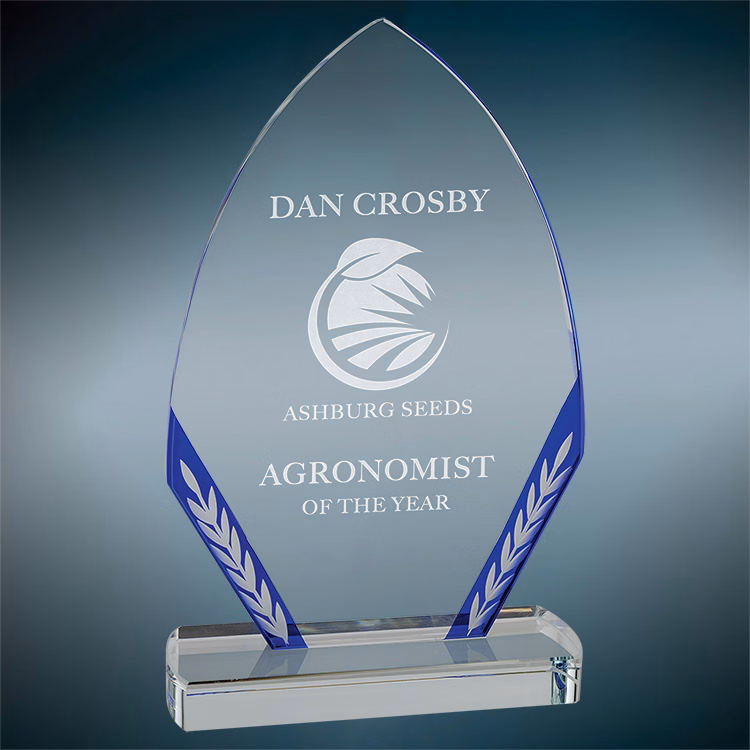 Montage Blue Award