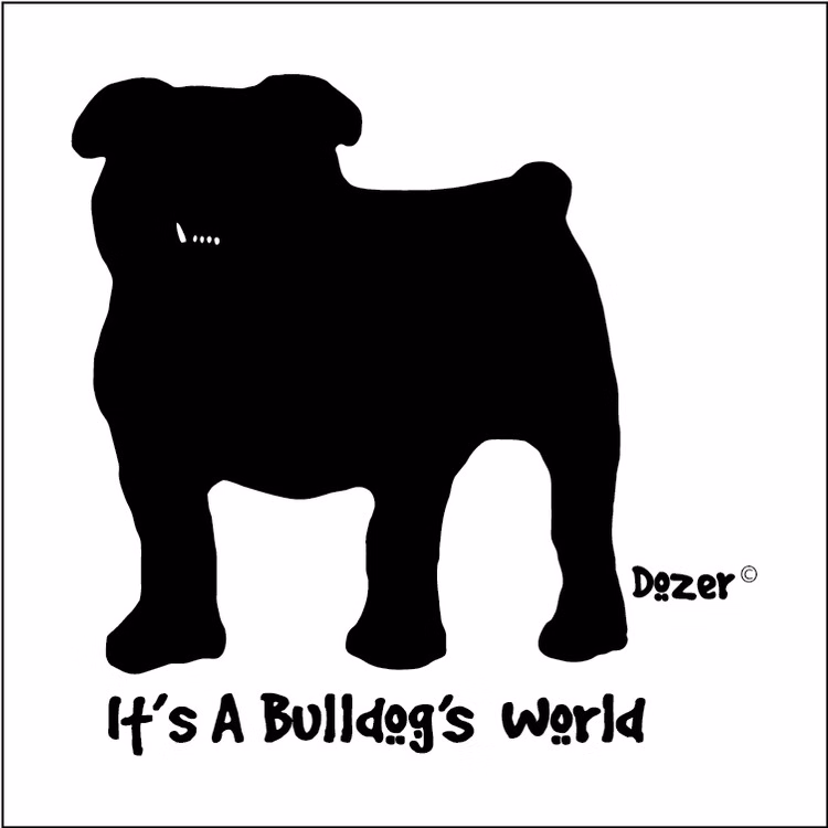 Custom 5.75" x 5.75" Square Car Magnet