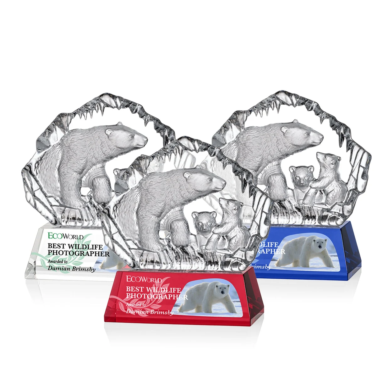 Ottavia Polar Bears VividPrint™ Award 1