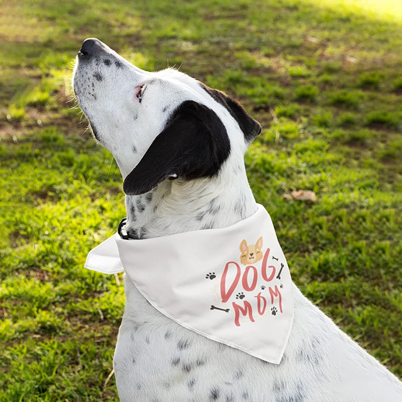Pet Bandana Full Color 21x21 1
