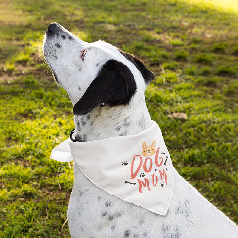 Pet Bandana Full Color 21x21