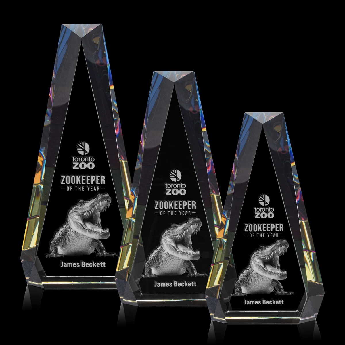 Carmel 3D Award - Prismatic 1