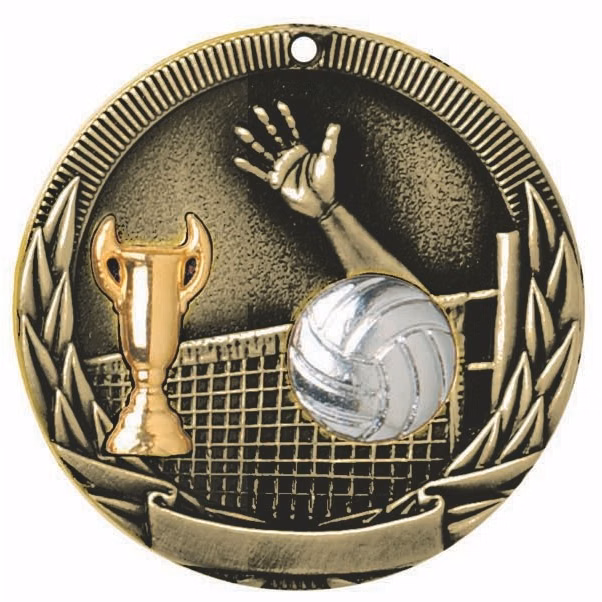 Volleyball Tri-Colored Medal 2"