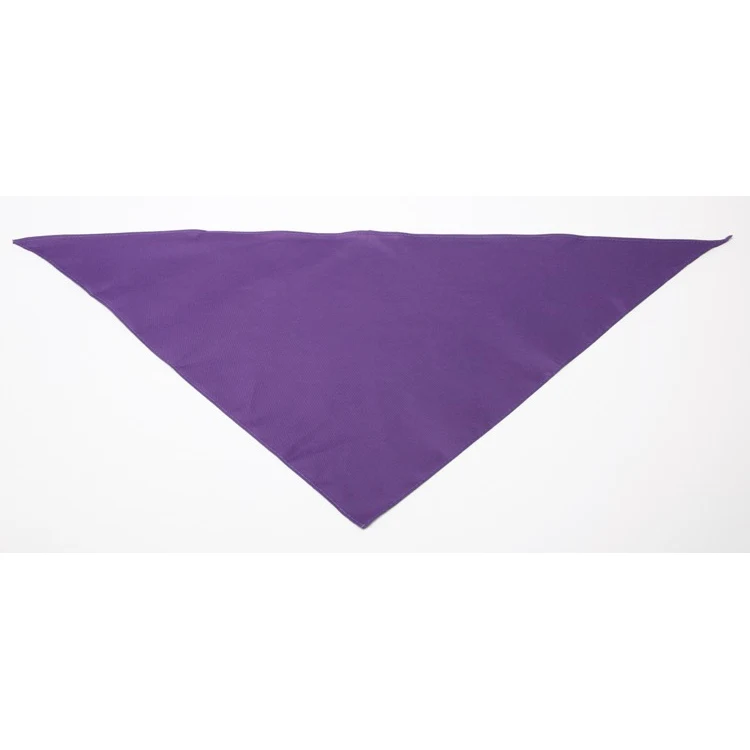 Personalized Large Purple Triangle Pet Bandana 1