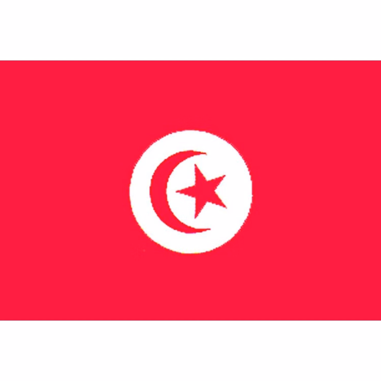 Tunisia Flag - 3' x 5' - Nylon