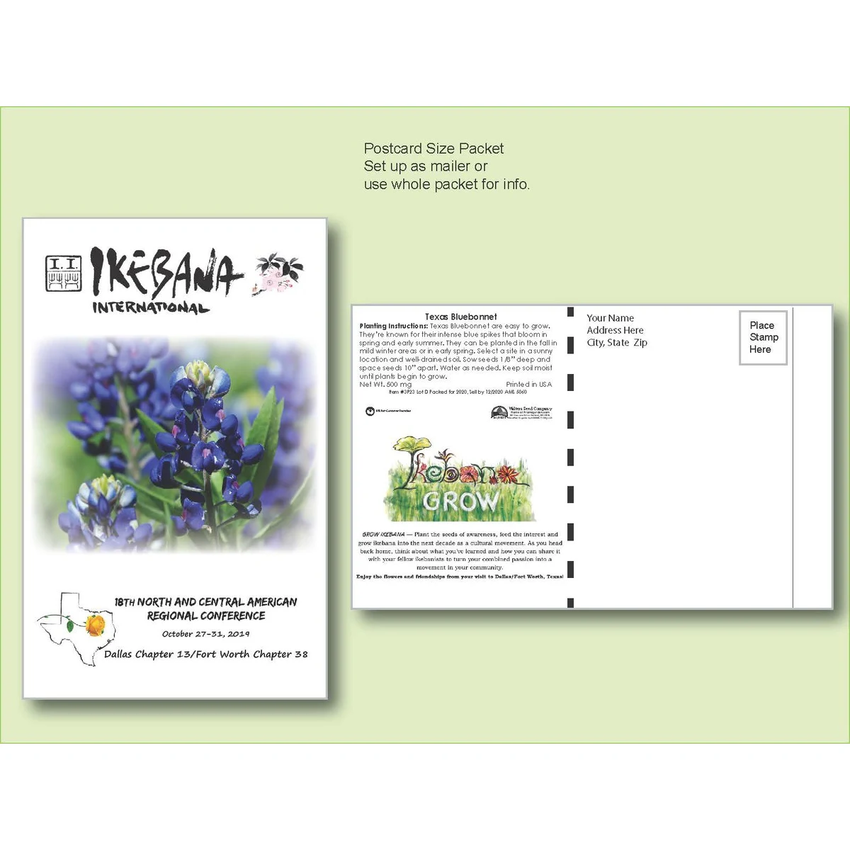 Texas Bluebonnet Seed Packet - Postcard Mailer Size 4" x 6.5" 1
