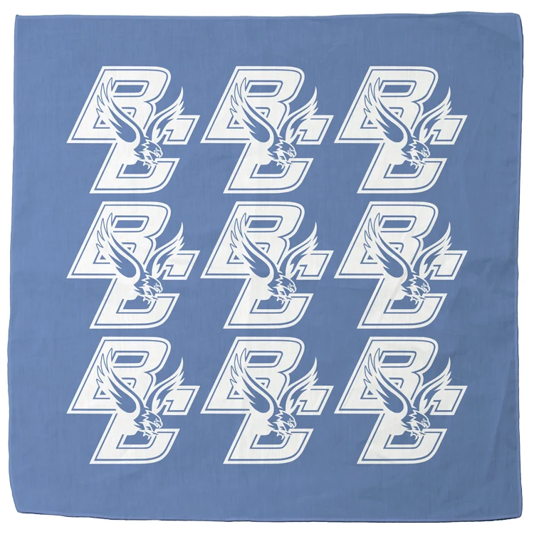 Spirit Bandanna 1