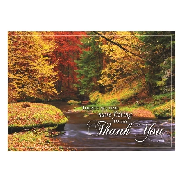 Splashes of Color Thanksgiving Greeting Card 1