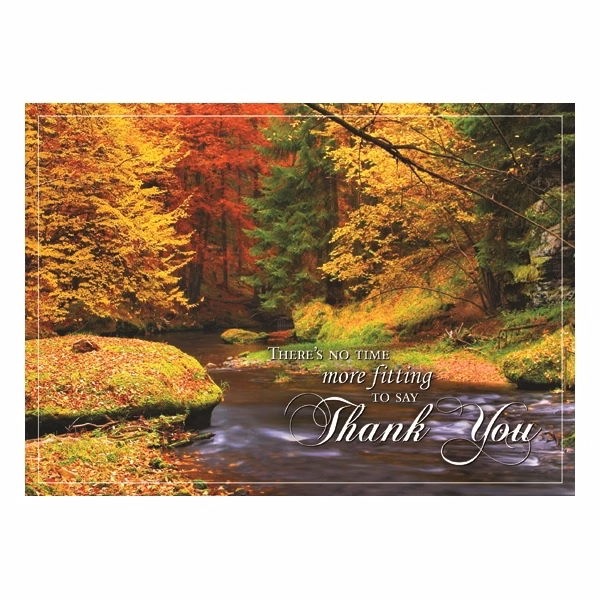 Splashes of Color Thanksgiving Greeting Card