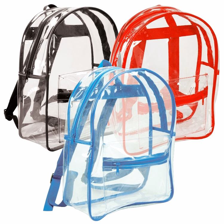 The Basic Clear Backpack