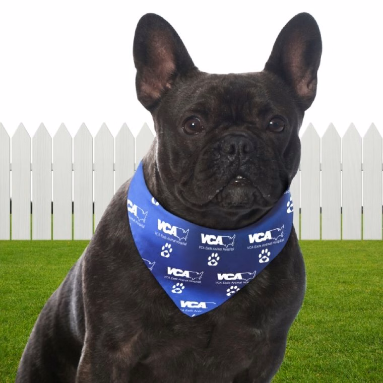 BanDoggies Breeze Original Medium Pet Bandanna